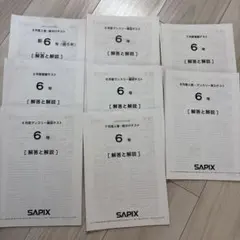 2026年最新】sapix 6年 4月マンスリーの人気アイテム - メルカリ