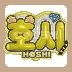 セブチ　seventeen ホシ　ぷっくり　ネームボード　うちわ文字