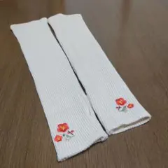 Item thumbnail for item 638956d9-a7f6-4e96-8146-f3b2b9c3e61f