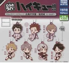 しらす様専用ハイキュー!! アクリルキーホルダー 4個セット