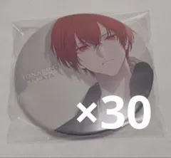 浦島坂田船 あほの坂田 となりの坂田 夏ツアー plusss シャドウ 缶バッジ