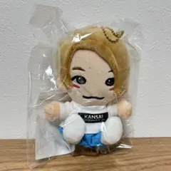 Aぇ! group グッズ 正門良規 ちびぬい まとめ売り Amazon.co.jp: Aぇ group 正門良規 はぴぬい ちびぬい : ホーム