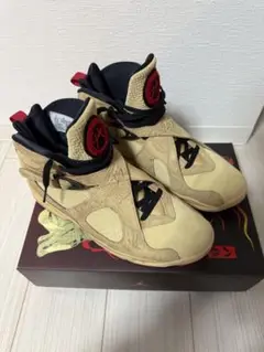 ジョーダン8