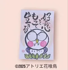 筆文字アート（105）「好奇心をもって生きる」手書きポストカード