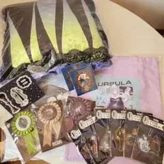 ディズニーヴィランズ　ハッピーくじセット