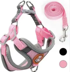 Item thumbnail for item 69ae0405-b35d-4008-bfc1-c14444439ba6