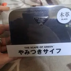 Item thumbnail for item 218e87ba-5fde-499d-b25b-1530f766bdd9