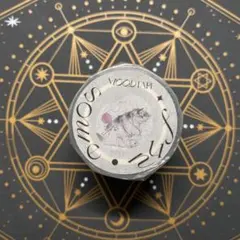 【8892】海外　マステ　5.1m巻PETカッティング　マスキングテープ猫　動物