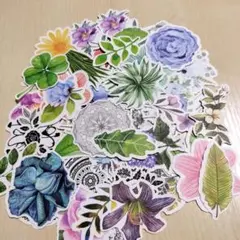 植物と花 カラフル モノクロ ステッカー シールセット 51枚