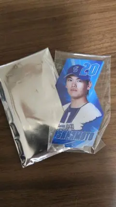 横浜Denaベイスターズ 坂本選手