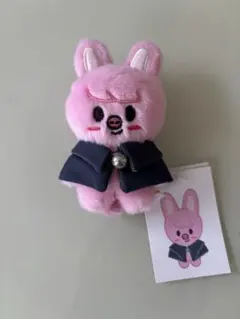 SKZOO PLUSH テディベア リービット StrayKids StrayKids SKZOO テディベア リービット3個セット - メルカリ