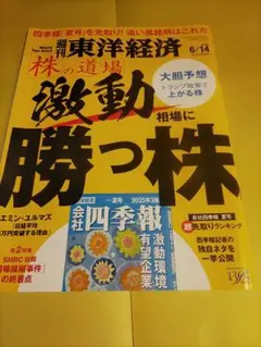 週刊東洋経済　激動相場に勝つ株