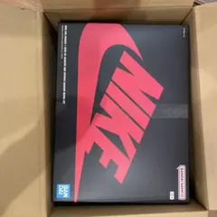 【新品未開封】NIKE AIR JORDAN 　MODEL KIT プラモデル