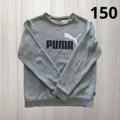 PUMA グレー トレーナー 150