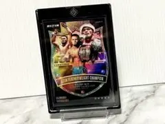 小倉（こくら）さん様 リクエスト 2点 まとめ商品