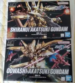 ガンプラ2個セット