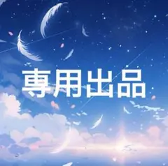 専用出品
