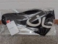 Item thumbnail for item ecf8edb4-c53a-4eb8-82bf-f5c8ae2850ab