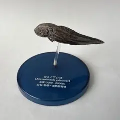 ヨミノアシロ　不思議生物大百科　深淵の放浪者　深海魚