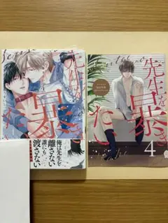 先生を暴きたい4 うすいしっぽ BL 新刊 アニメイト特典 リーフレット付