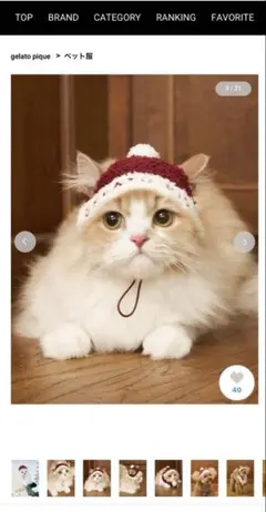 Item thumbnail for item be55a61d-50aa-45b4-8bcb-d5896c2f4dcd