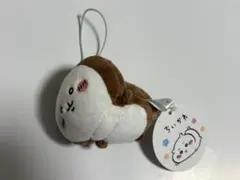 ちいかわ　ねそべりマスコット　カブトムシ　ちいかぶ