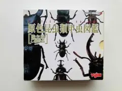 Yujin 原色昆虫類甲虫図鑑 株主優待 非売品 ユージン オオクワガタ