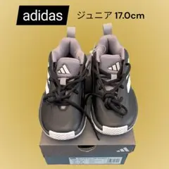 Item thumbnail for item 9ad8c9cd-9756-4272-9cee-1cbf48679339