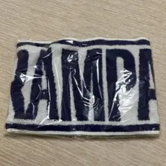 THE RAMPAGE マフラータオル 初期