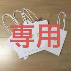 DIOR  ショッパー4点セット