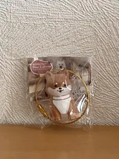 【新品未使用】わんこのタイムカプセル