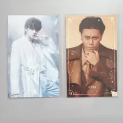 キャッテリア　ランダムハーフブロマイド　アメリカンカール　パグ