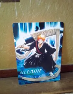 BLEACH 下敷き Ichigo Kurosaki