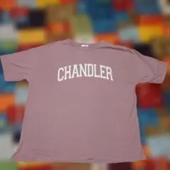 Honeys☆GLACIER CHANDLER Tシャツ Mサイズのサムネイル