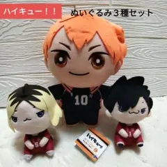 【新品】ハイキュー！！　もちぴこぬいぐるみ　みにコレ！ＢＩＧぬいぐるみ　３種