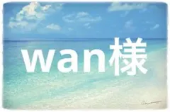 wan様