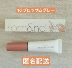 ロムアンド ハンオールブロウカラ 10 ブロッサムグレー