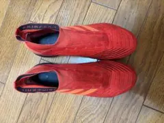【25.5cm・廃盤モデル】アディダス　プレデター19+ FGのサムネイル