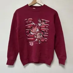 魔*澪様 アメリカ製 90s ルーニーテューンズ テキサスA&M カレッジ スウのサムネイル