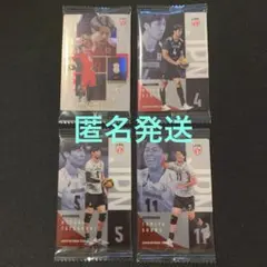 男子バレー　バレーボール　ウエハース　カード