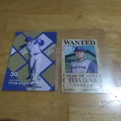 日本ハムファイターズ　郡司裕也選手　手配書ステッカー