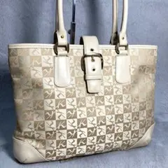 Item thumbnail for item 4564e524-fec0-4fdf-9adc-c7c6753b35bd