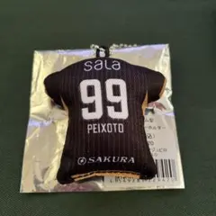 ジュビロ磐田 ジュビポン ユニ型 ミニクッションキーホルダー ペイショット