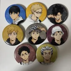 ハイキュー!! 東武動物公園こらぼ 缶バッジ 8個セット