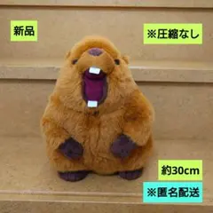 新品　マーモット　音声ぬいぐるみ　匿名配送