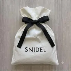 【美品】SNIDEL スナイデル ショッパー ショップ袋 パッキング 旅行のサムネイル