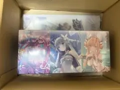 ShadowverseEVOLVE プレミアムカードセット サマーエディション1
