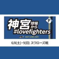 syou様 リクエスト 2点 まとめ商品
