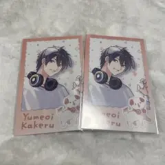 夢追翔 にじさんじ チェキ