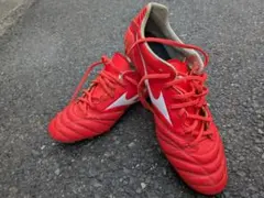 Item thumbnail for item 8d9091ea-a45c-46e0-80fe-6efa7b75e985